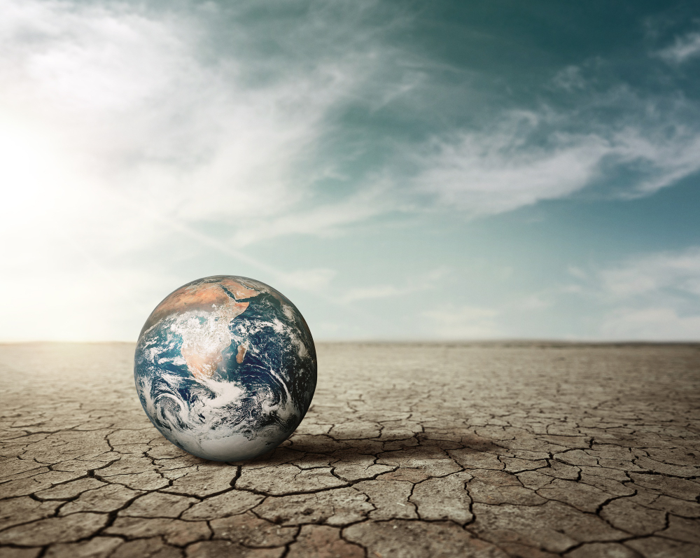 Public consultation on the BCV’s proposed Notice on “Disclosure of Information Related to Climate Risks”